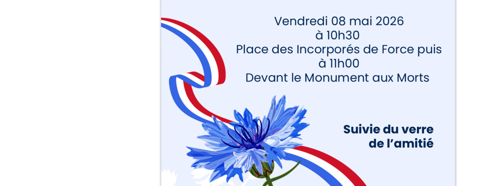 🇫🇷 commémoration de la victoire des alliés 🇫🇷