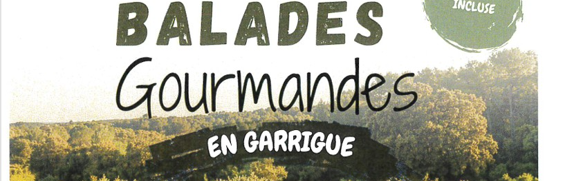 Image par défaut