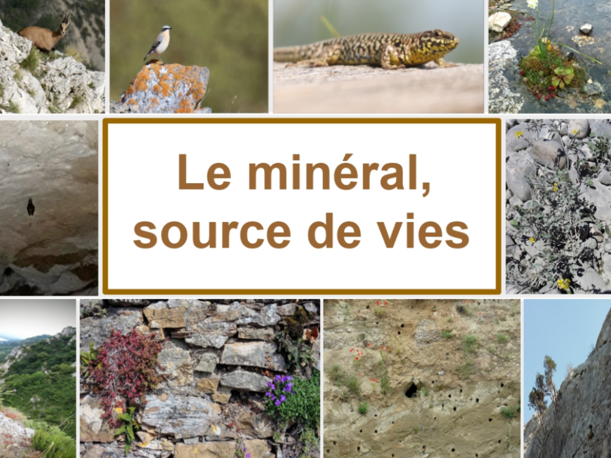 Image par défaut