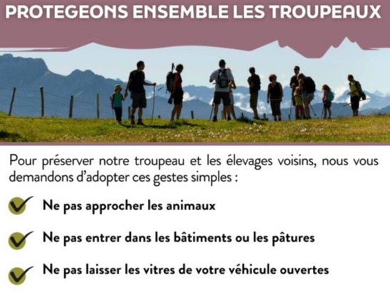 Image par défaut