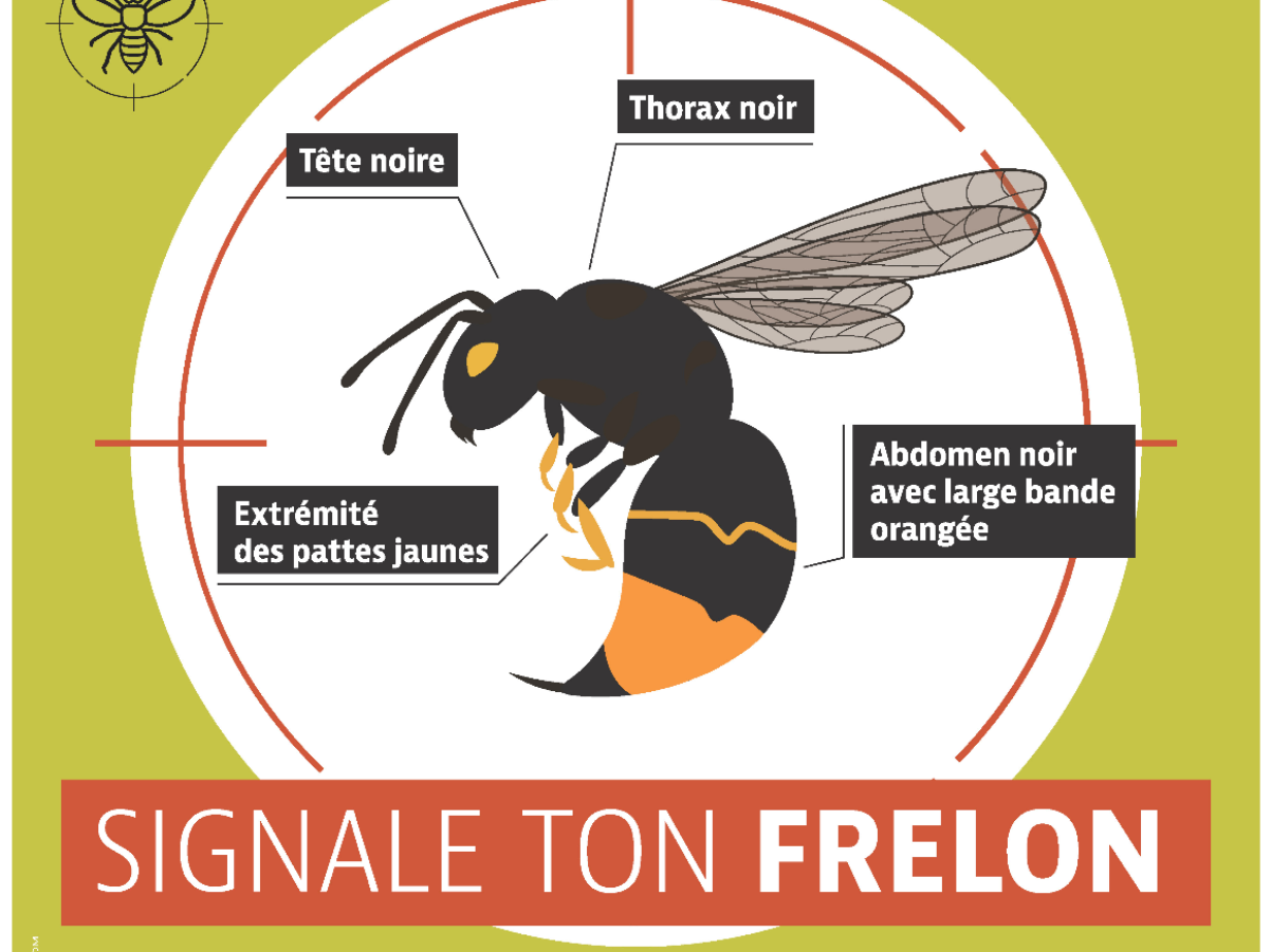 Image par défaut