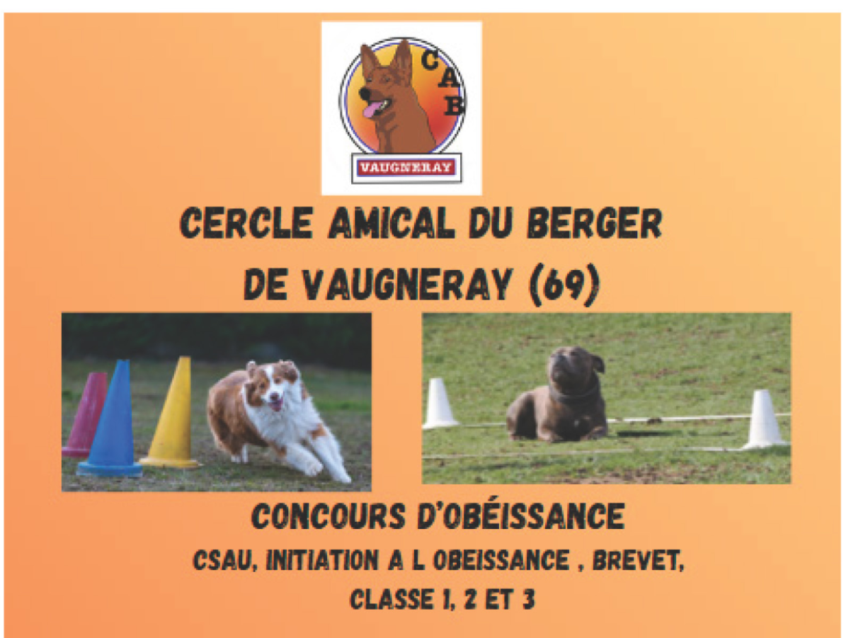 Image par défaut