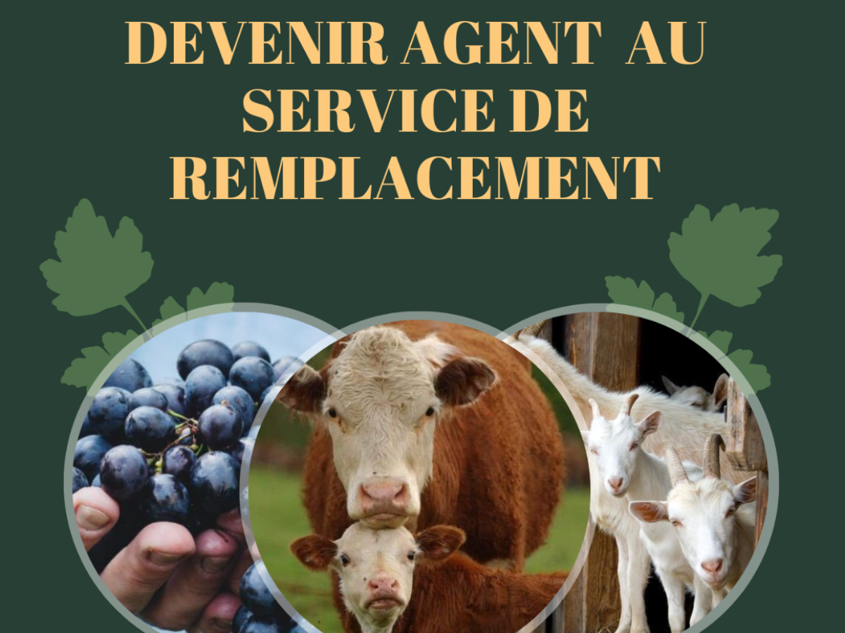 Image par défaut
