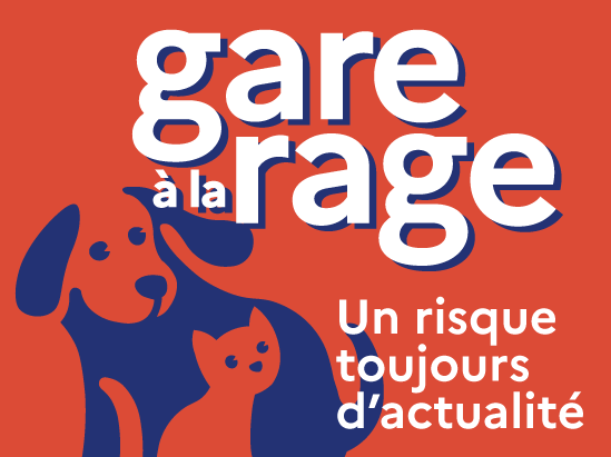 Image par défaut