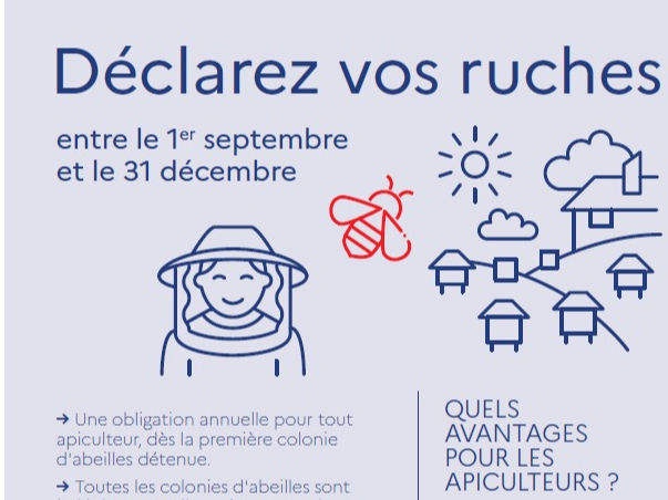 Image par défaut