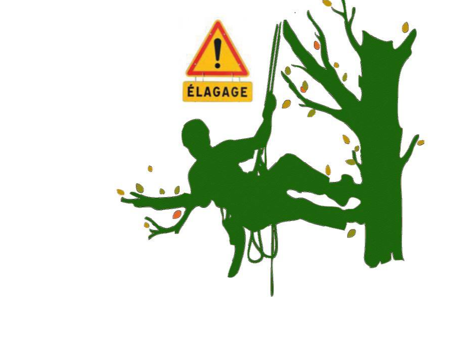 Image par défaut