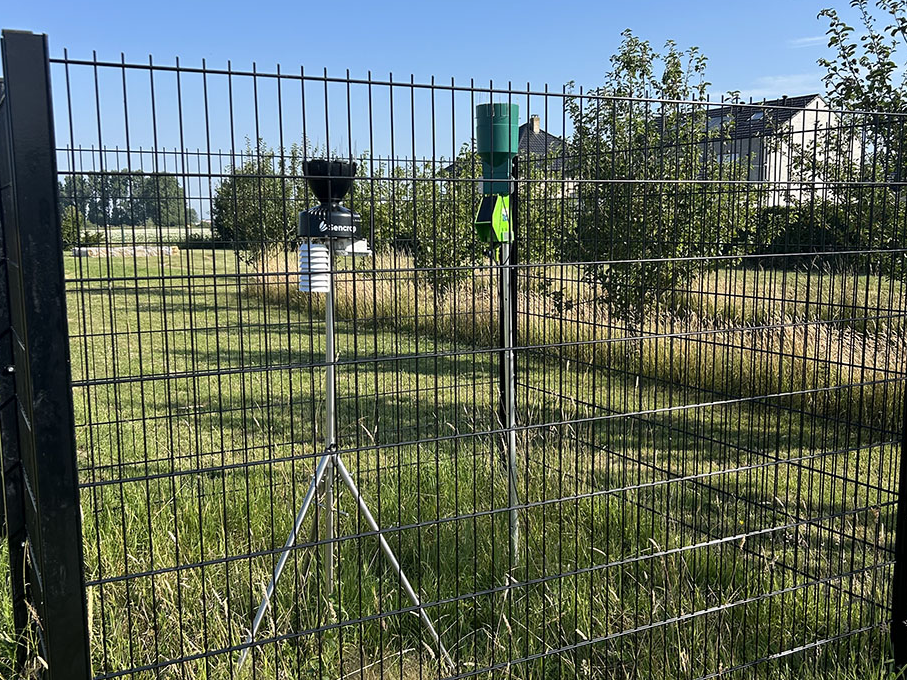 Image par défaut