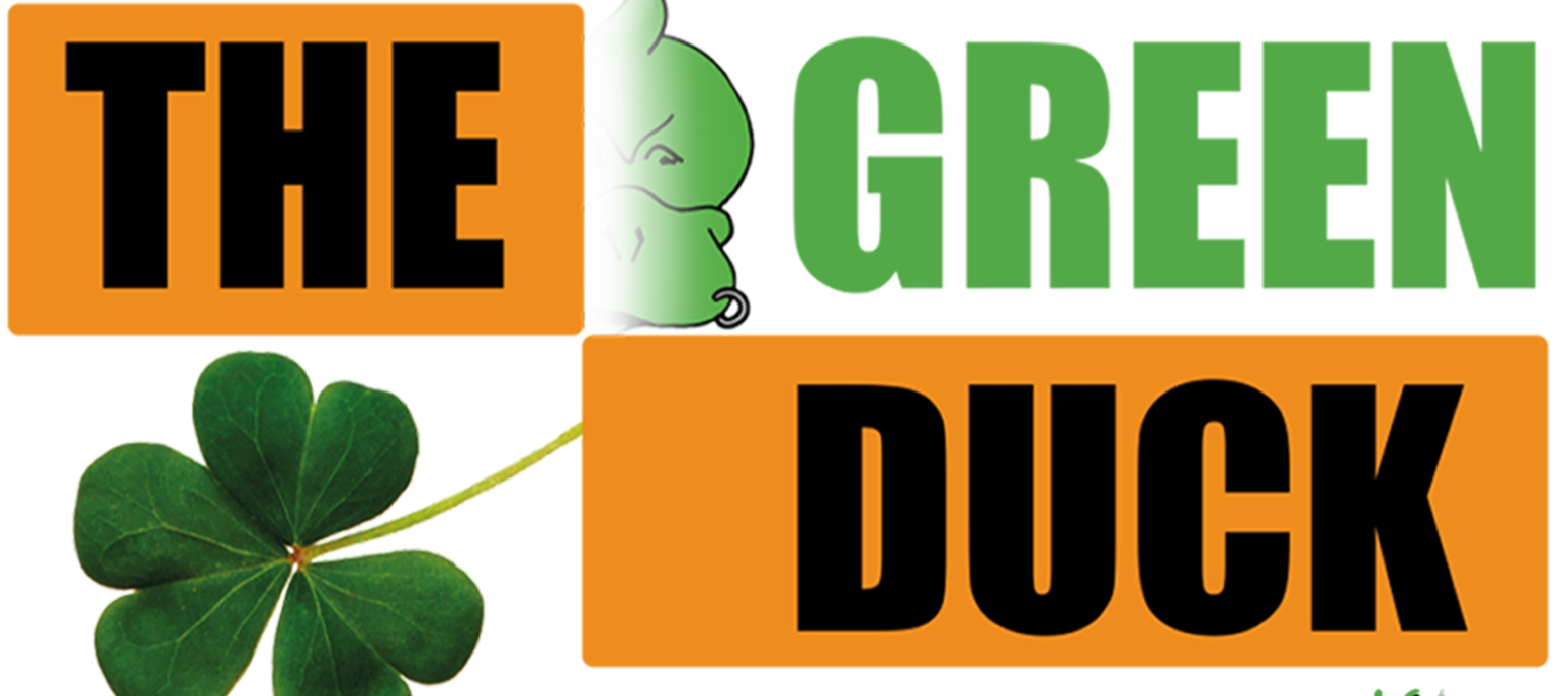 🎼 CONCERT : THE GREEN DUCK