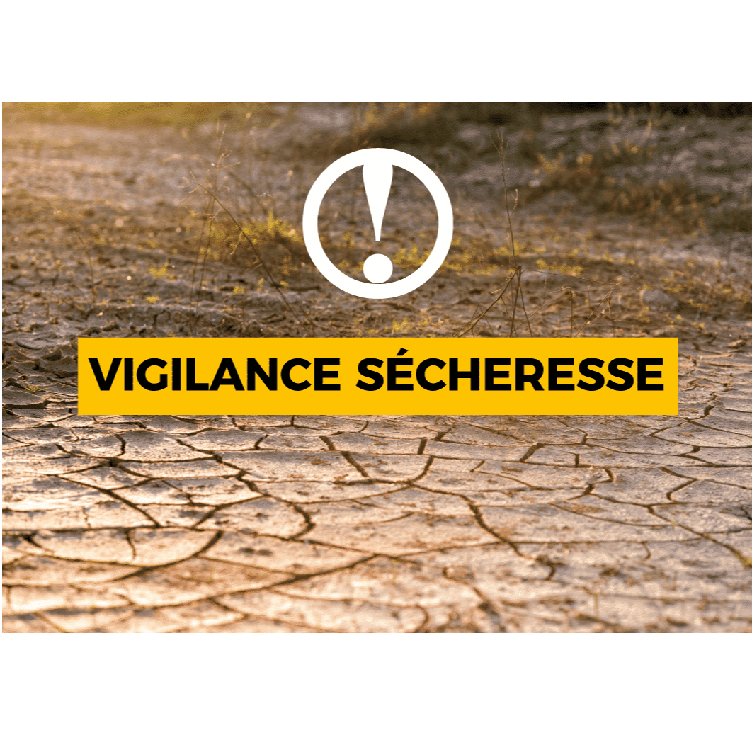Image par défaut