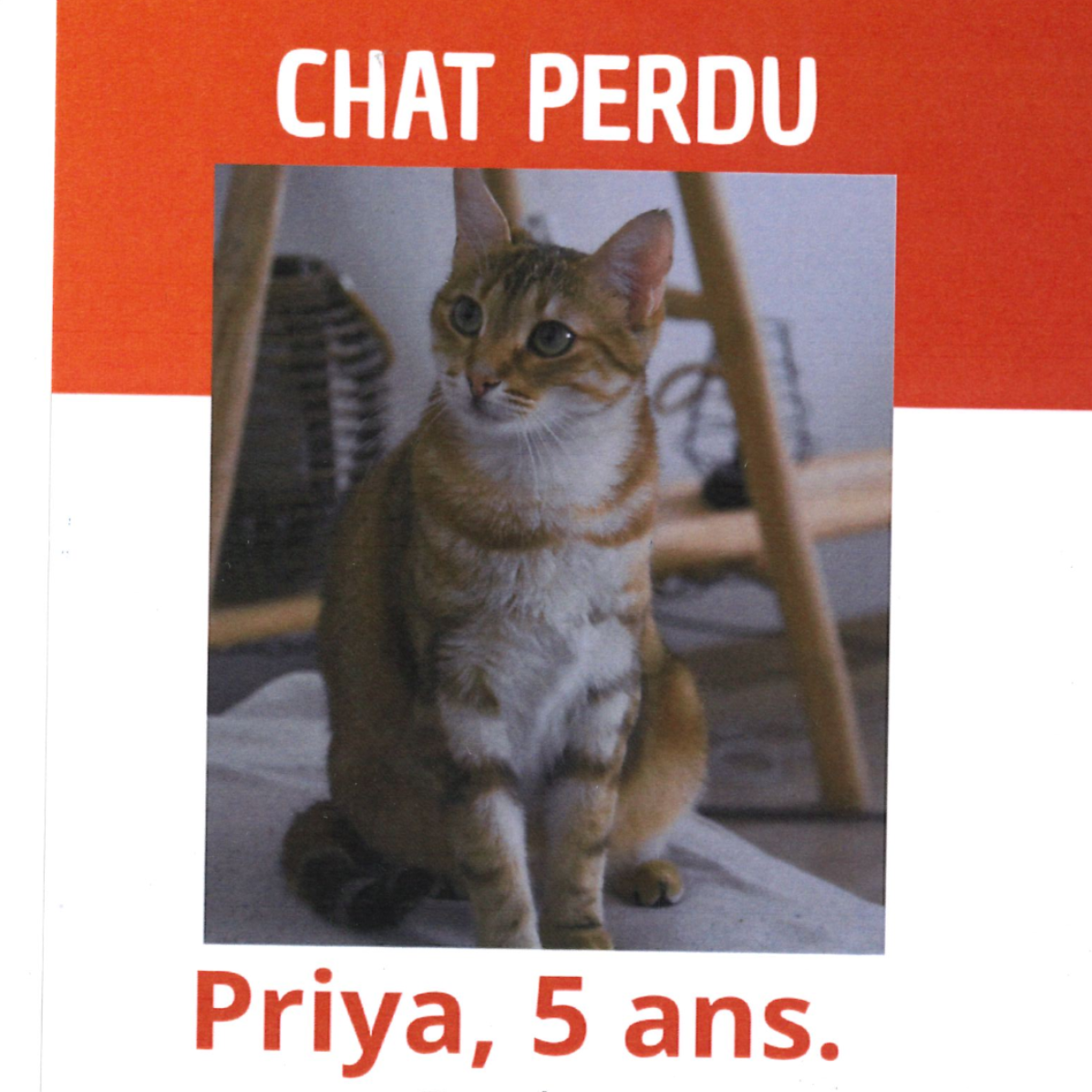 Image par défaut
