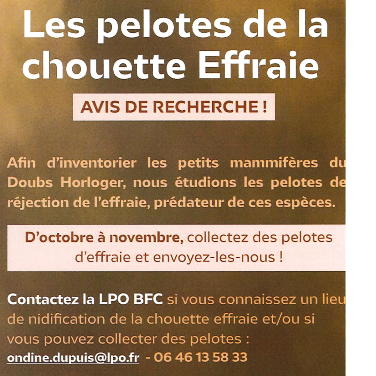 Avis de recherche