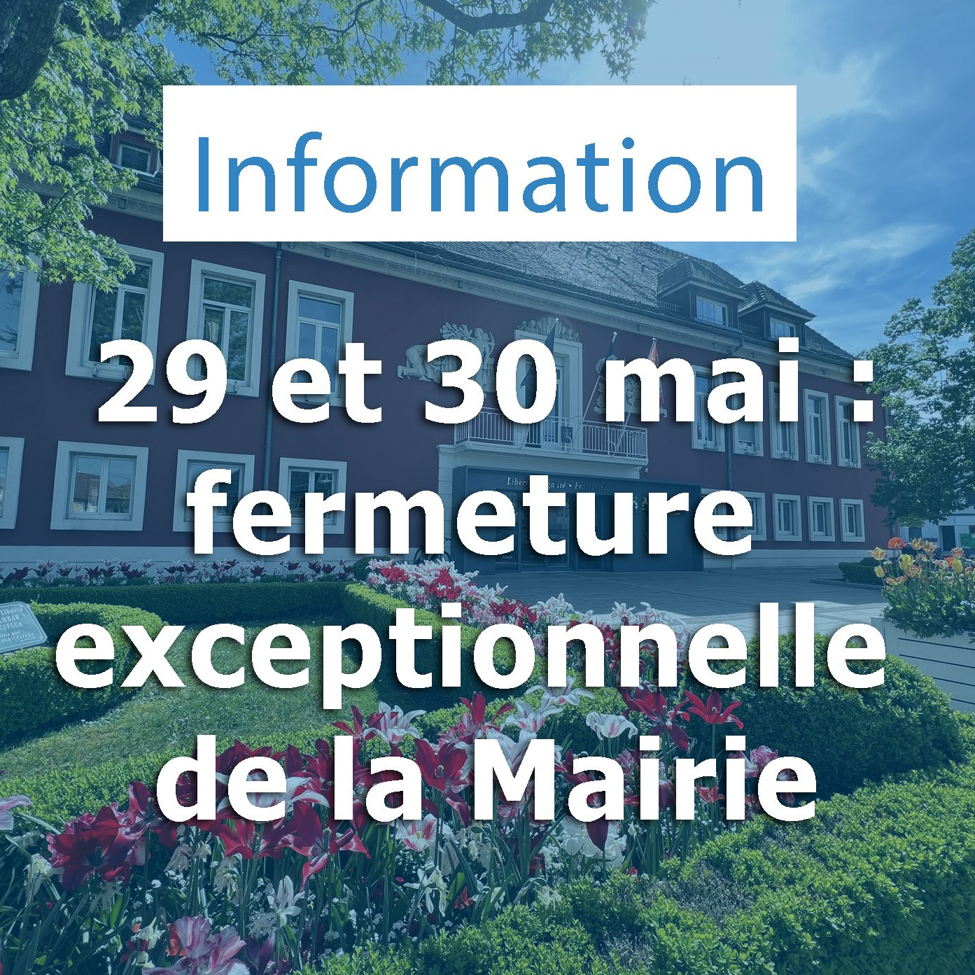 Image par défaut