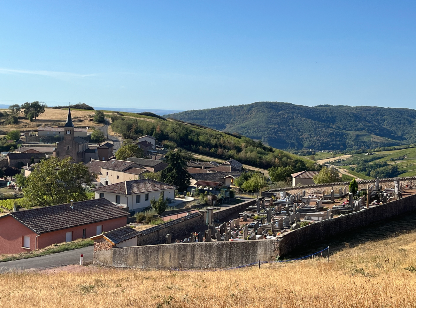 Pruzilly - vue aerienne du village.jpg