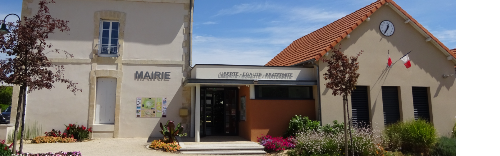 Image par défaut