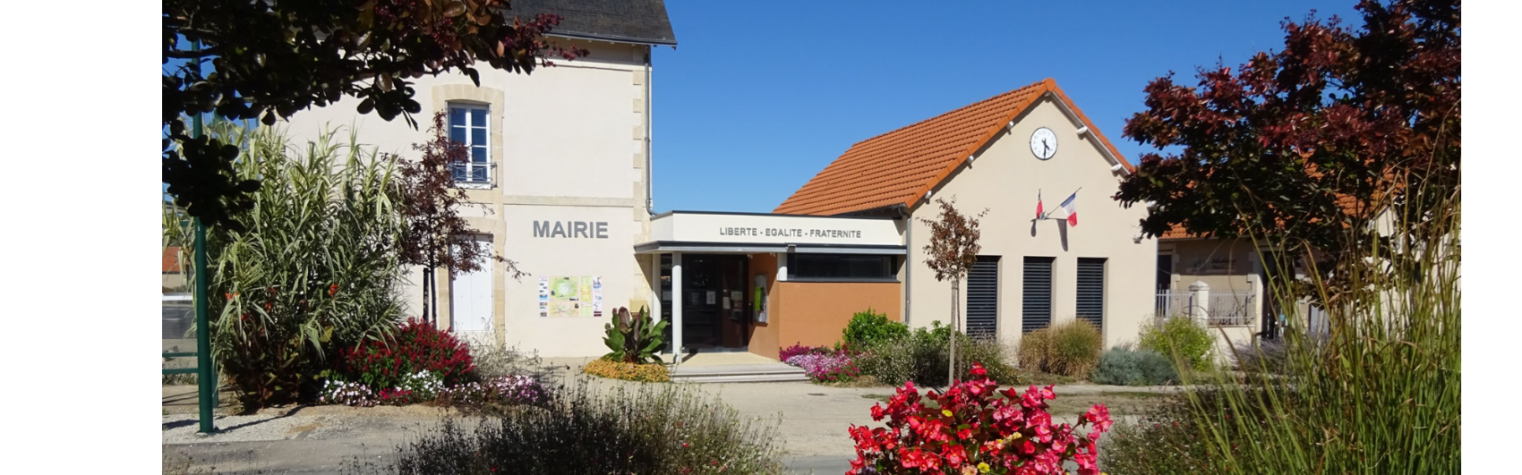 Image par défaut
