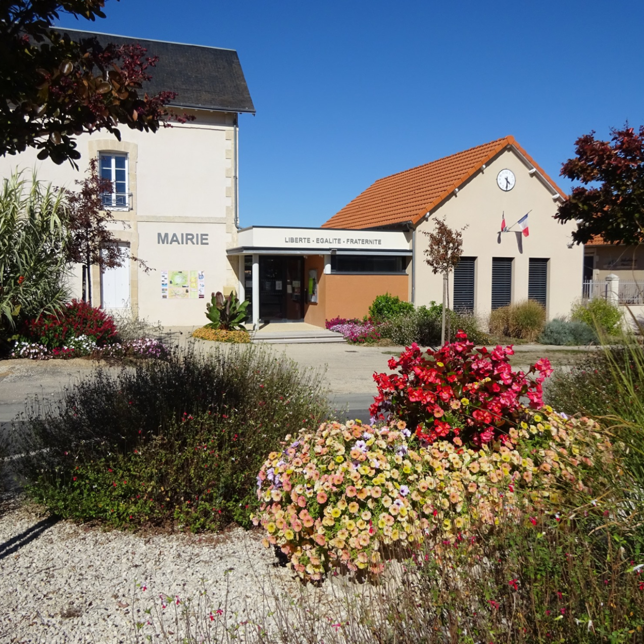 Délibérations du Conseil Municipal