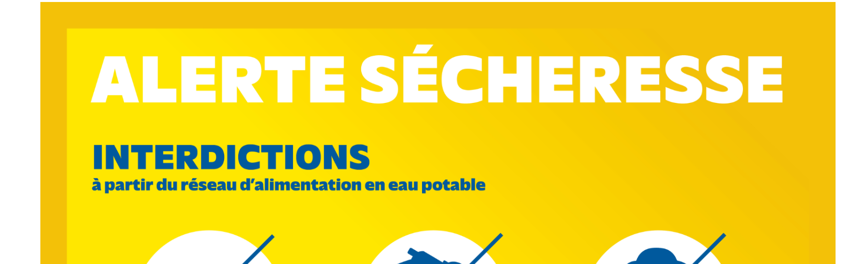 Image par défaut