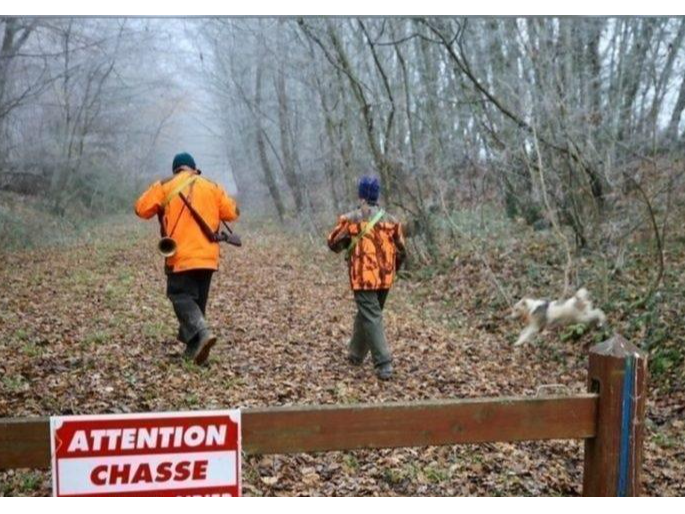 Image par défaut