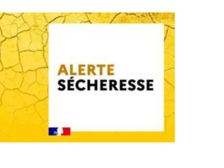 Image par défaut