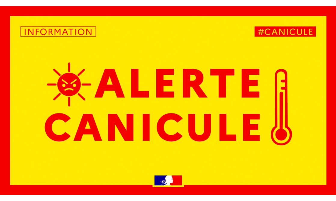 CANICULE