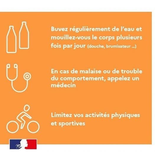 Image par défaut