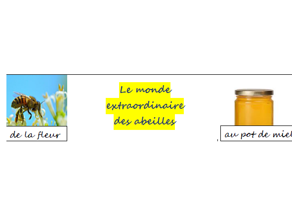 Image par défaut