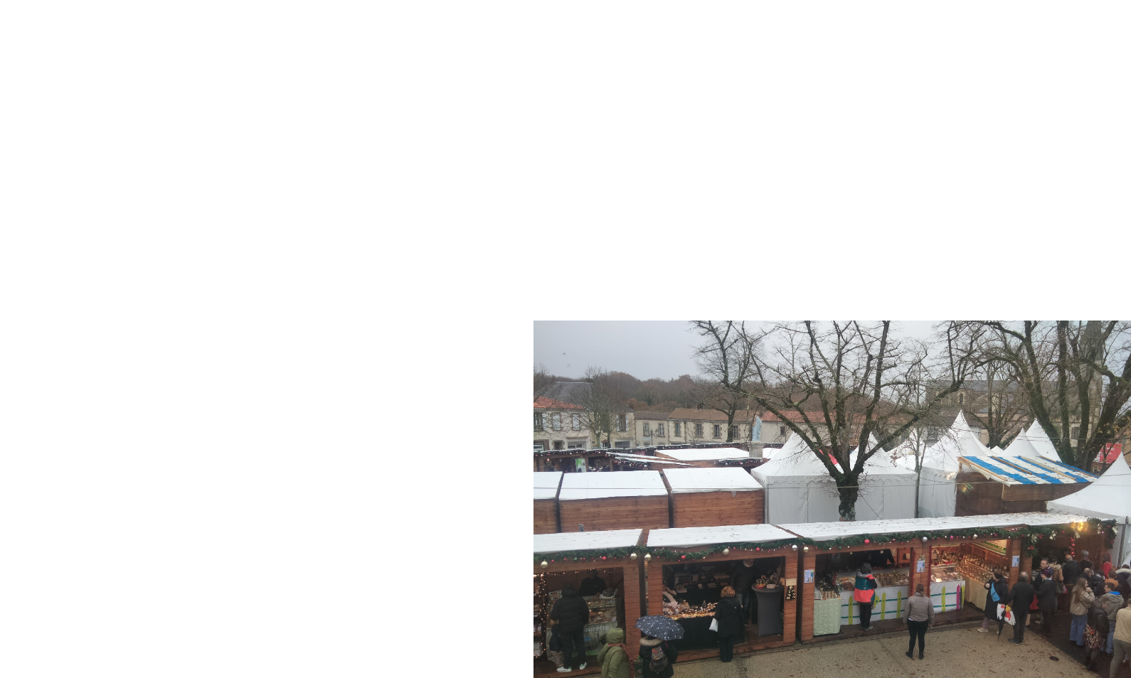 Marché de Noël des 4, 5 et 6 décembre 2026