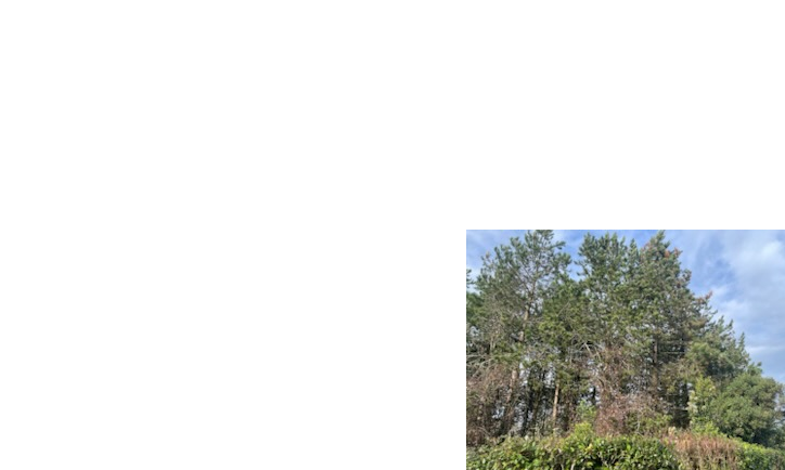 Dans le cadre d’un projet de lotissement municipal,