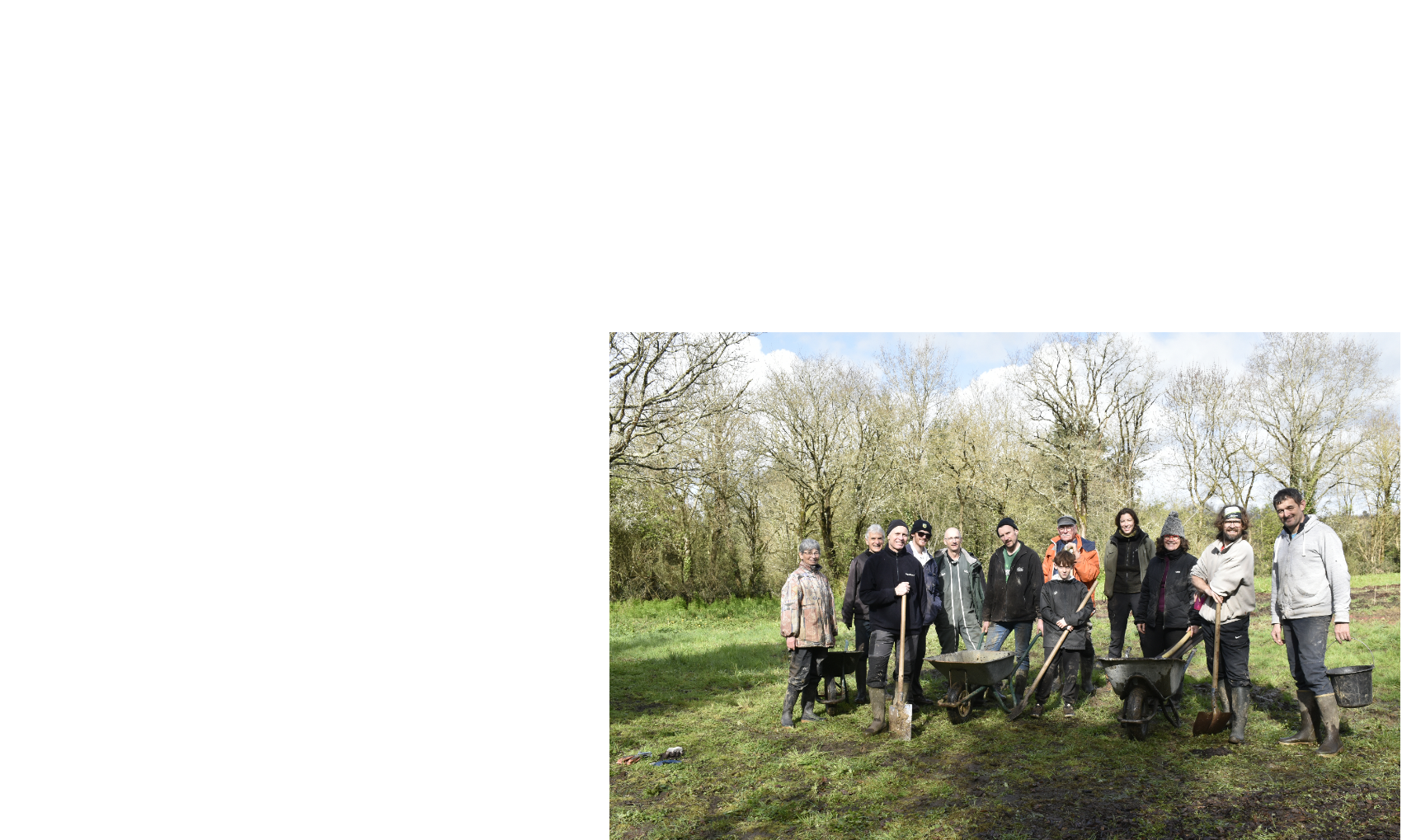 Un nouveau bosquet à Beaulieu