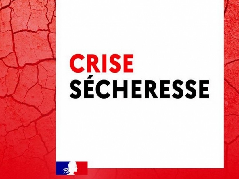 Image par défaut