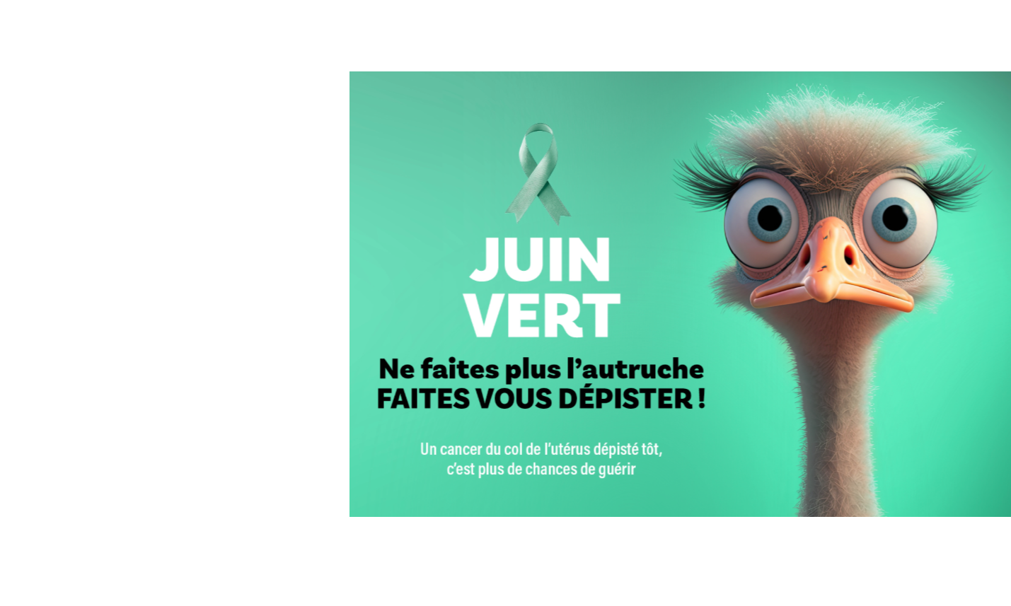 JUIN VERT