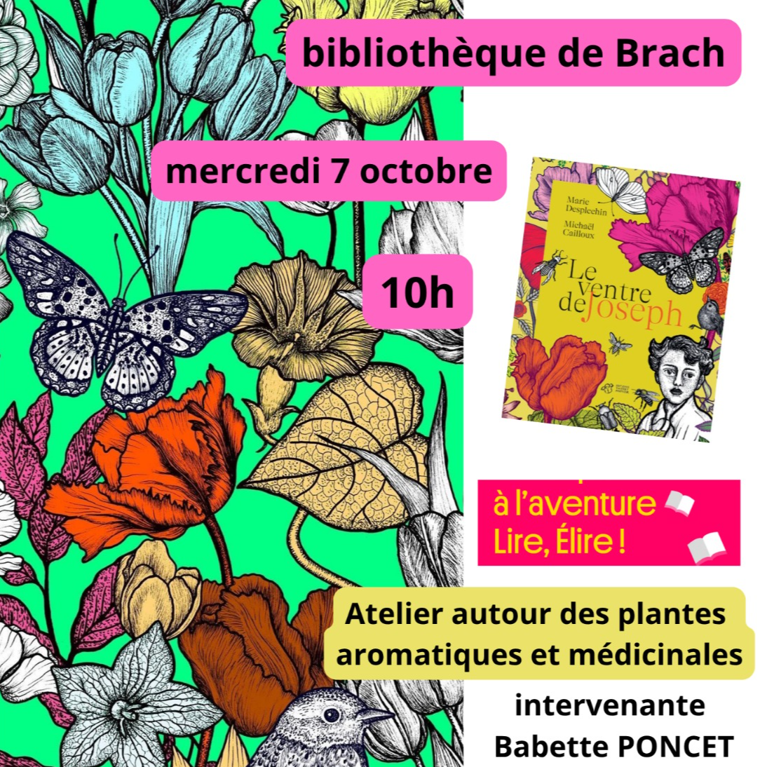 Atelier autour des plantes aromatiques et médicinales