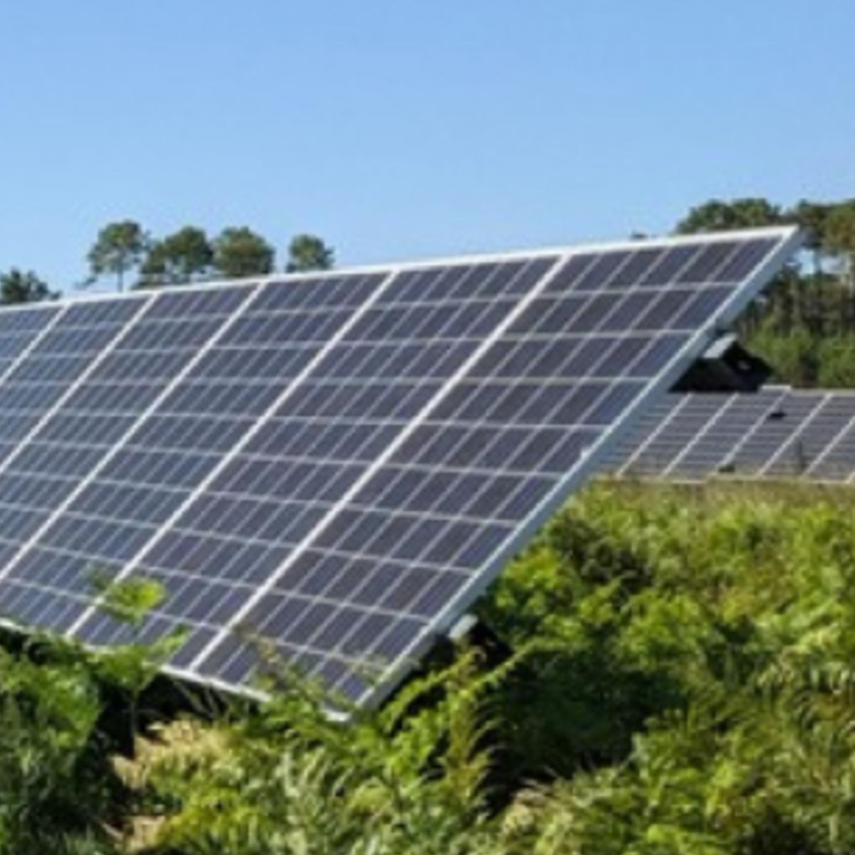Visite par photovoltaïque de Brach