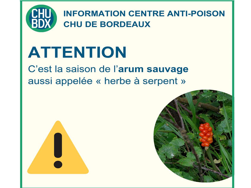 Image par défaut