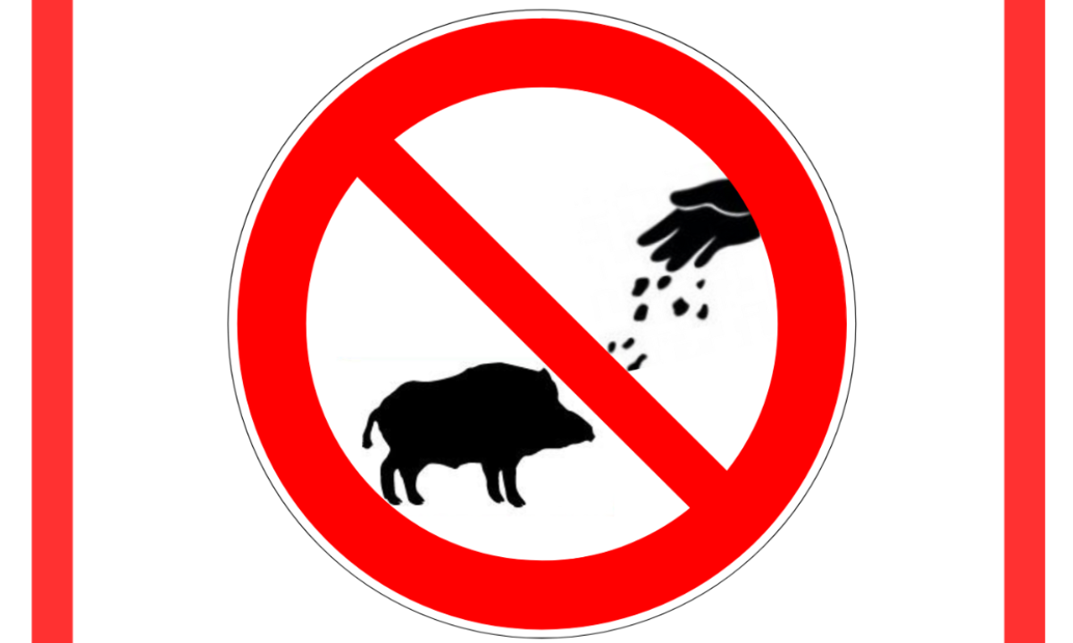 ATTENTION - NE PAS NOURRIR LES SANGLIERS
