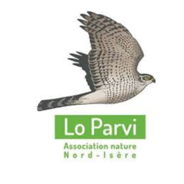 Image par défaut
