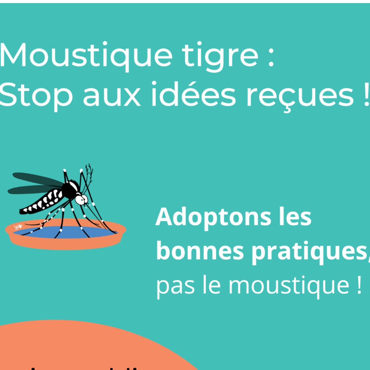 Image par défaut