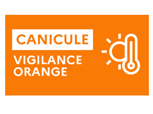Image par défaut