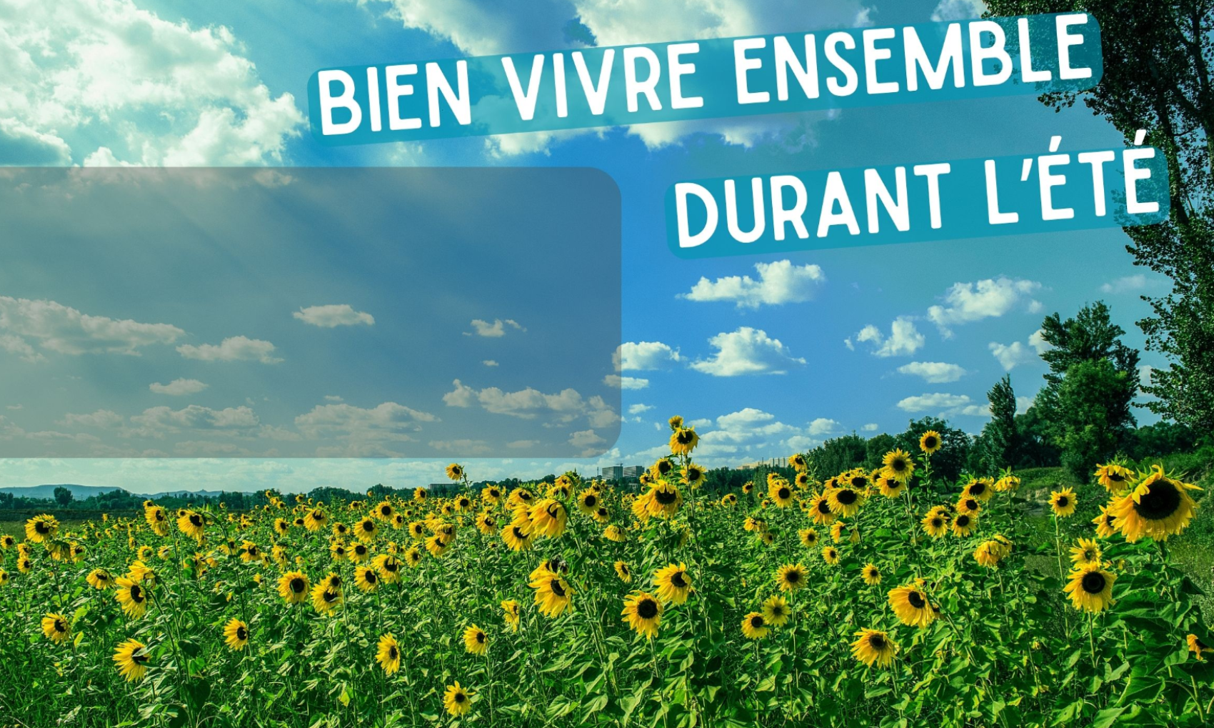 Bien vivre ensemble durant l'été