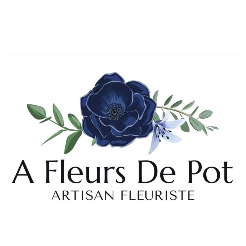 Image par défaut