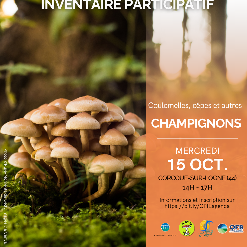Image par défaut