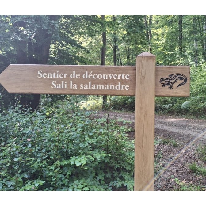 Découverte du sentier "Sali la Salamandre"