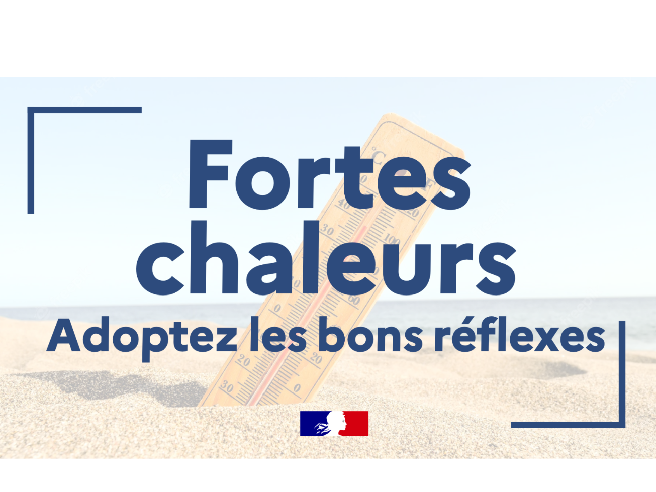 Image par défaut