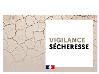 Image par défaut