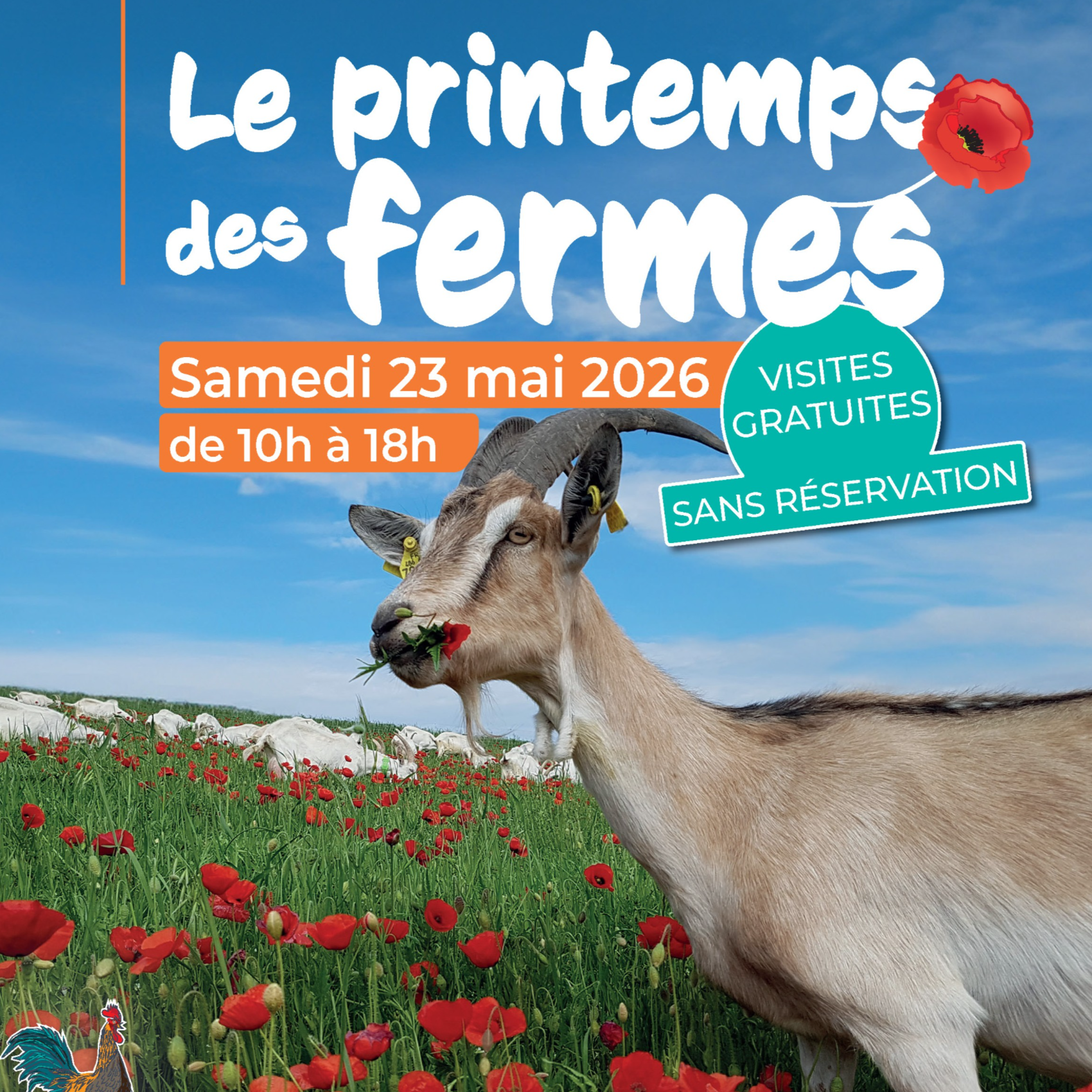 Image par défaut