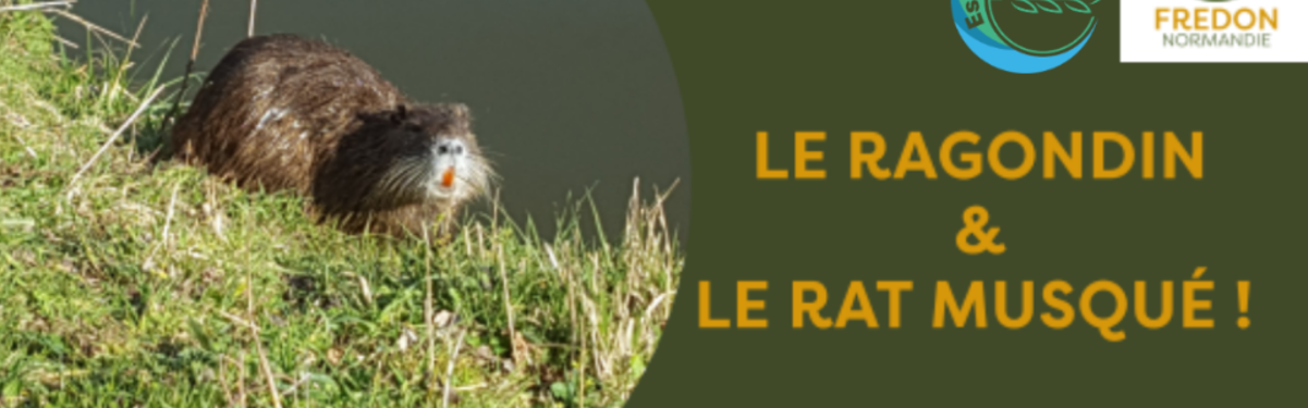 Image par défaut