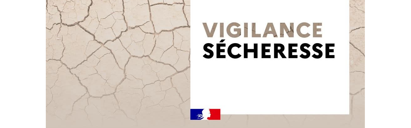 Image par défaut