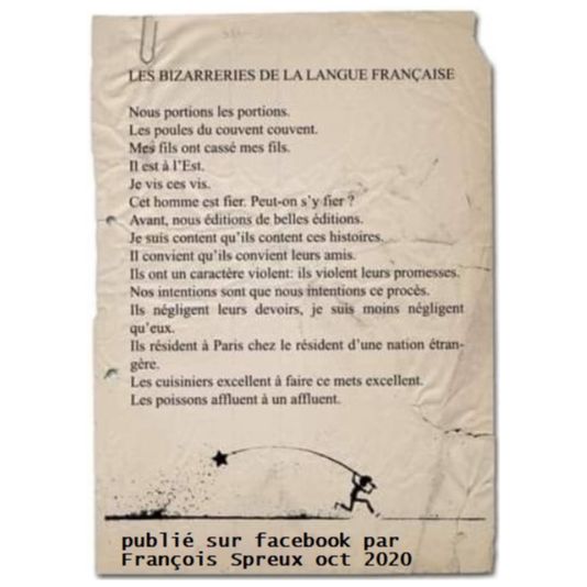 les bizzareries de la langue farnçaise.jpg