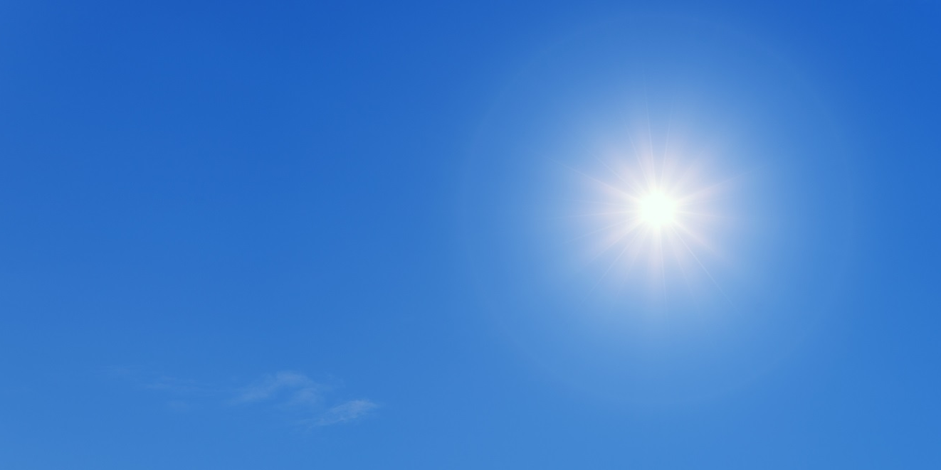 PLAN CANICULE