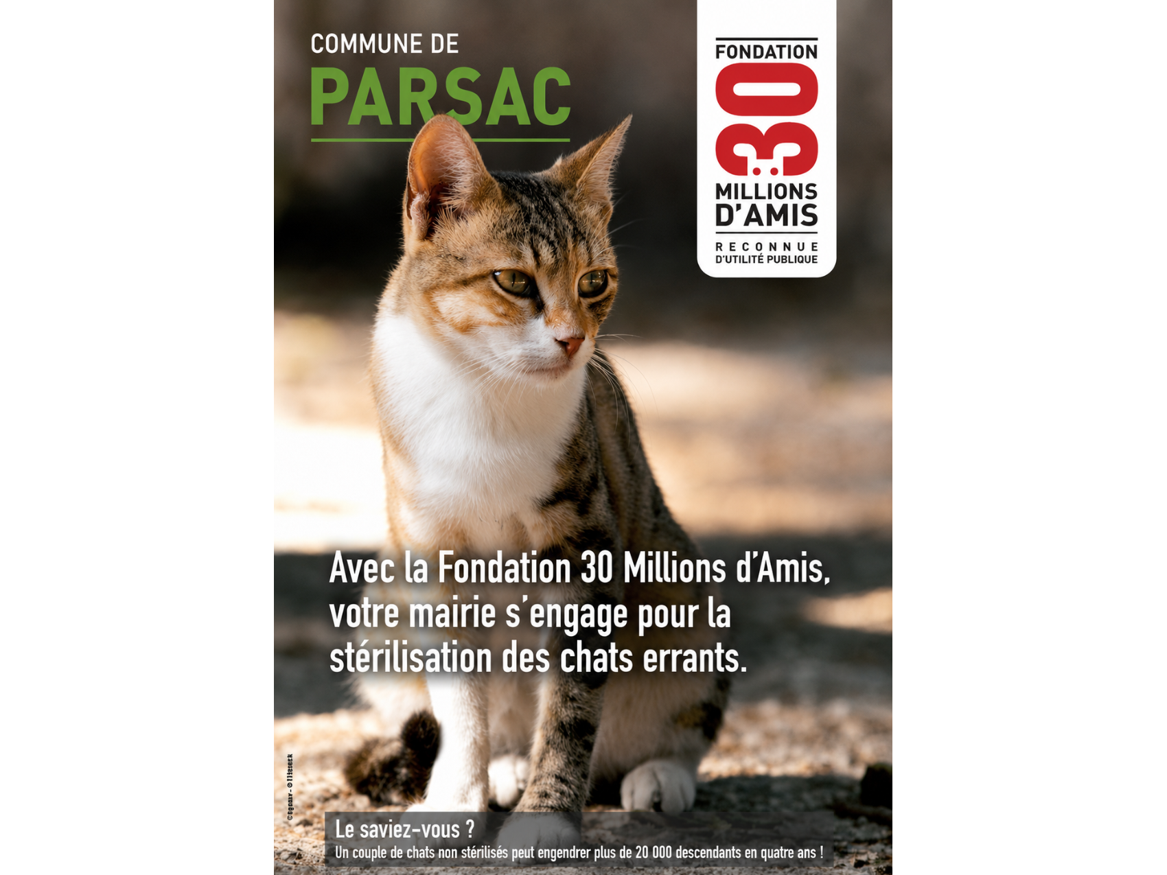 Image par défaut